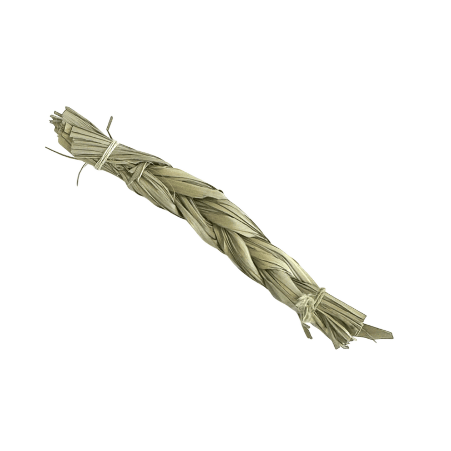 Sweetgrass - Foin tressé